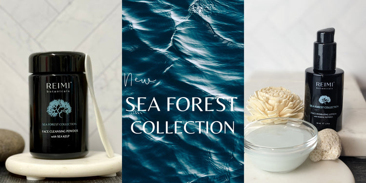 Sea Forest Collection
