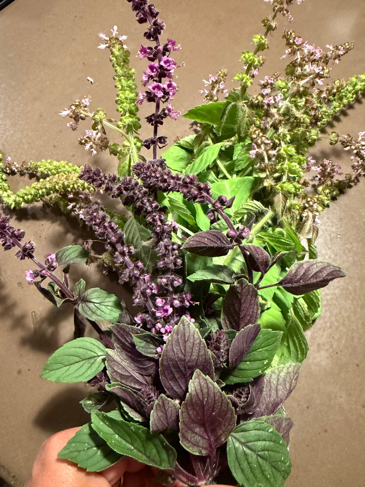 AYUREIMI Tulsi Floral Water