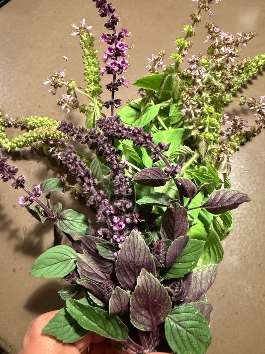 AYUREIMI Tulsi Floral Water